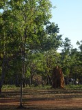 Parc Kakadu